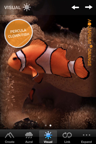 Aquarium 2